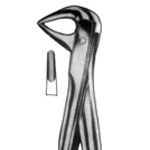 Forceps for Lower Roots No. 74 M