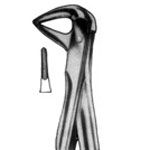 Forceps for Lower Roots No. 74 N