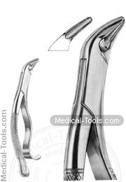American Extracting Forceps No. 85A