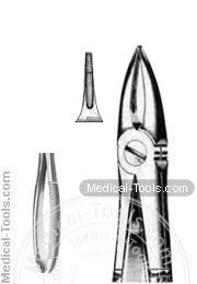 English Extracting Forceps No. 29 N