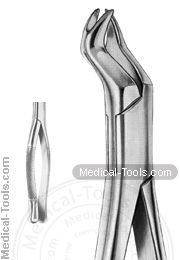 American Extracting Forceps No. 88L