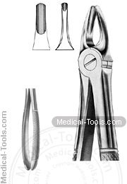 English Extracting Forceps No. 3