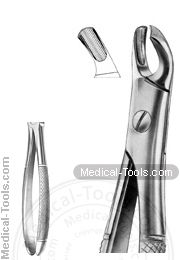 English Extracting Forceps No.103L