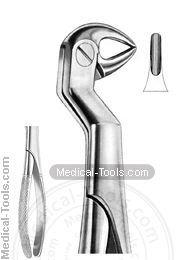 English Extracting Forceps No. 33.5 R