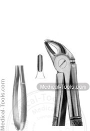 English Extracting Forceps No. 38