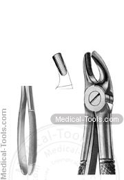 English Extracting Forceps No. 39