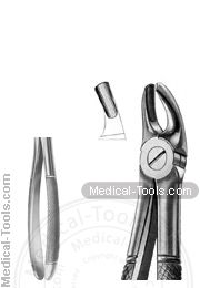 English Extracting Forceps No. 39L