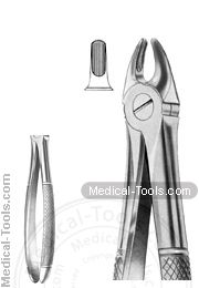 English Extracting Forceps No.107