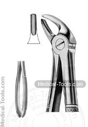 English Extracting Forceps No. 4