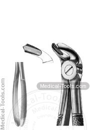 English Extracting Forceps No. 40