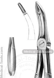 English Extracting Forceps No. 48