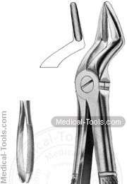 English Extracting Forceps No. 51