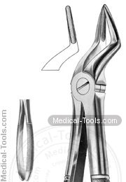 English Extracting Forceps No. 51A