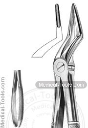 English Extracting Forceps No. 51 L