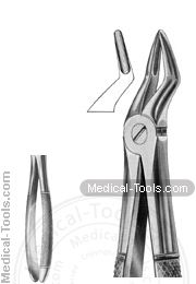 English Extracting Forceps No. 51 S