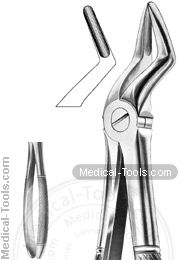 English Extracting Forceps No. 52