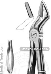 English Extracting Forceps No. 52 A
