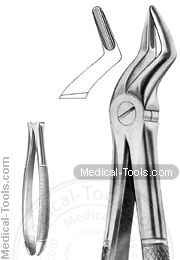 English Extracting Forceps No.112