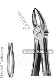 English Extracting Forceps No. 55