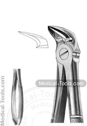 English Extracting Forceps No. 56