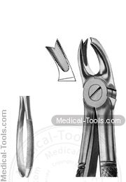 English Extracting Forceps No. 65L