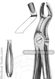 English Extracting Forceps No. 67-1/2L