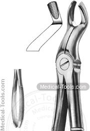 English Extracting Forceps No. 67A