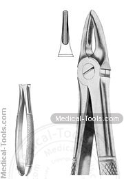 English Extracting Forceps No.113