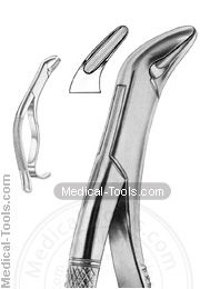 American Extracting Forceps No. 288