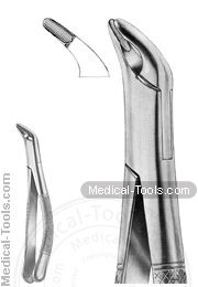 American Extracting Forceps No. 151A