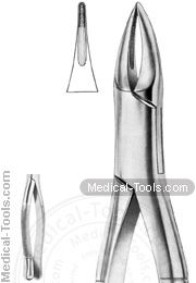 American Extracting Forceps No. 38