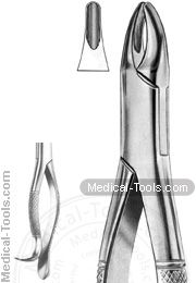 American Extracting Forceps No. 13