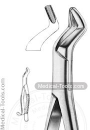 American Extracting Forceps No. 104