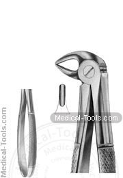 English Extracting Forceps No.33 S