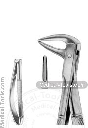 English Extracting Forceps No. 143