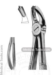 English Extracting Forceps No. 18 A
