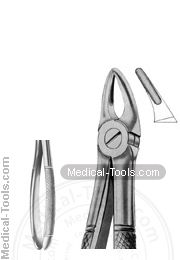 English Extracting Forceps No. 30S