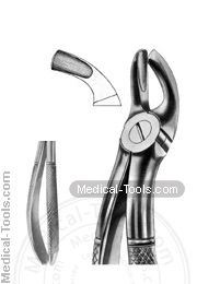 English Extracting Forceps No. 19
