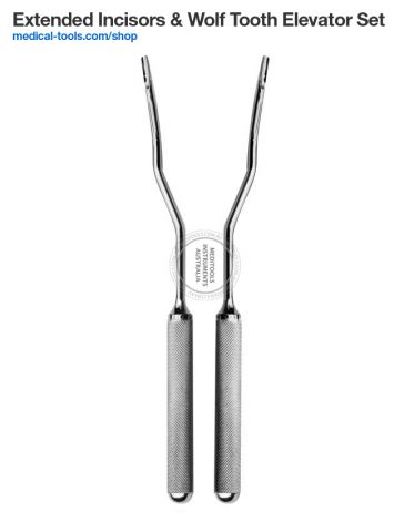 Equine Wolf Tooth Forceps