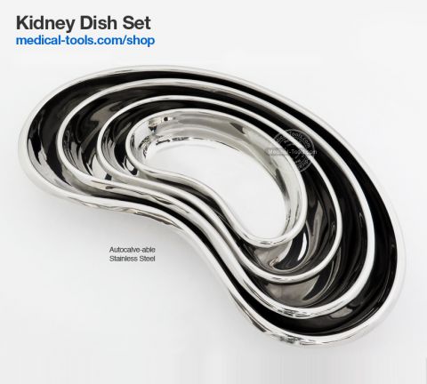 Kidney Dish 12"
