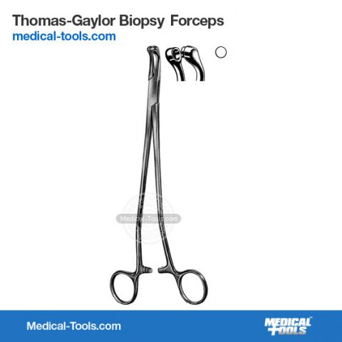 Schubert Biopsy Forceps 26cm